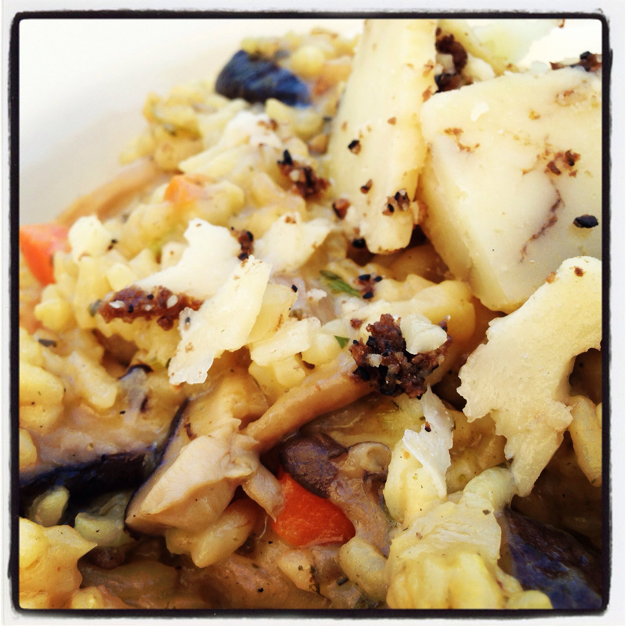 A tempting plate of wild mushroom risotto